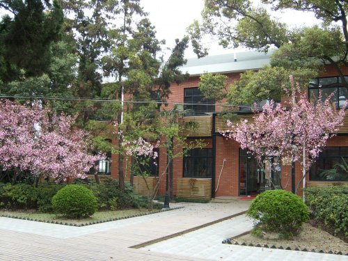 再进入全文
