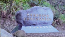 建议先扫读标题与摘要