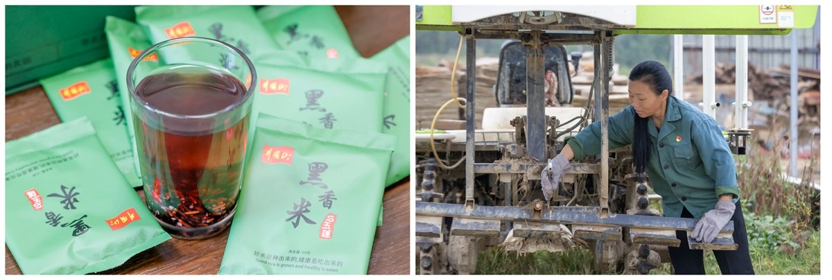 感悟奋进力量”的实践课堂搬到田间地头