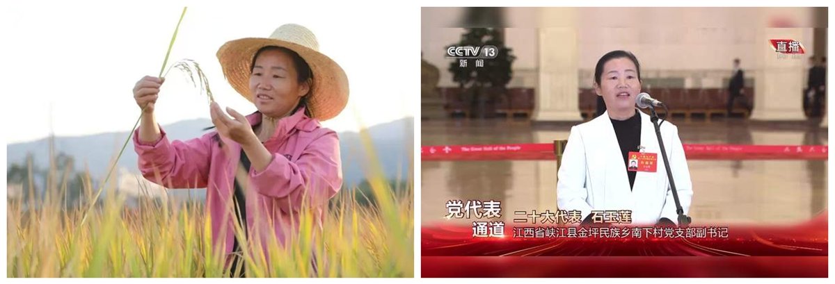 八月暑期期间